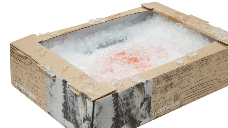 Corrugated fishbox