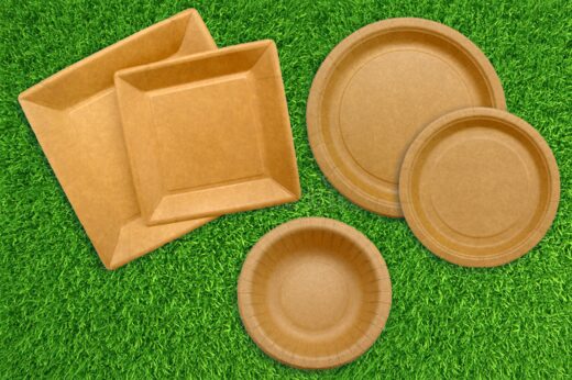 Paper Plates laying on grass