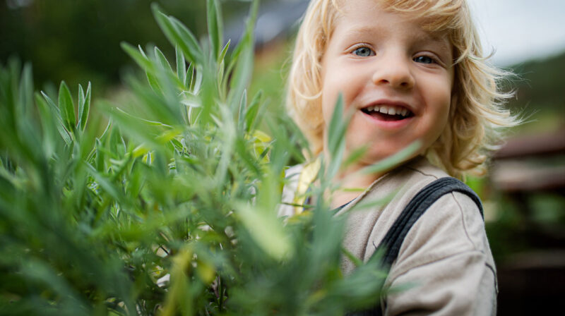 Walki Sustainability