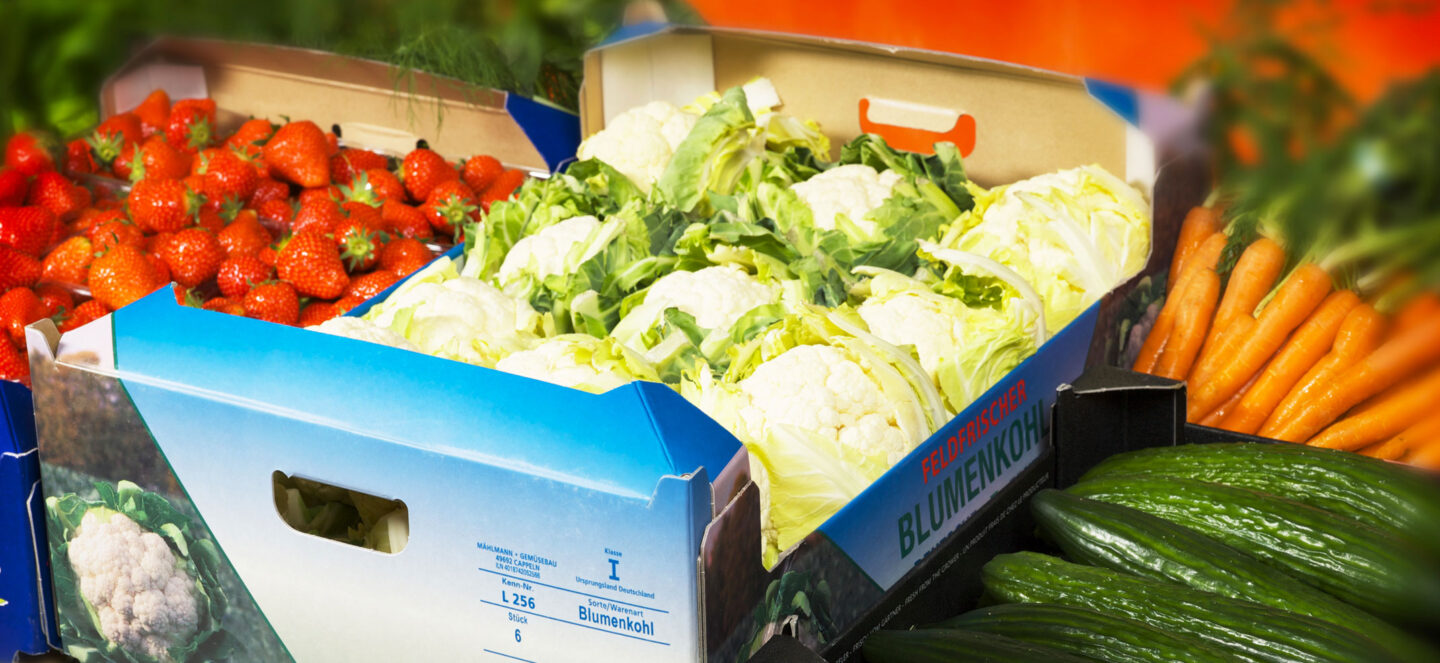 walki line aqua solutions