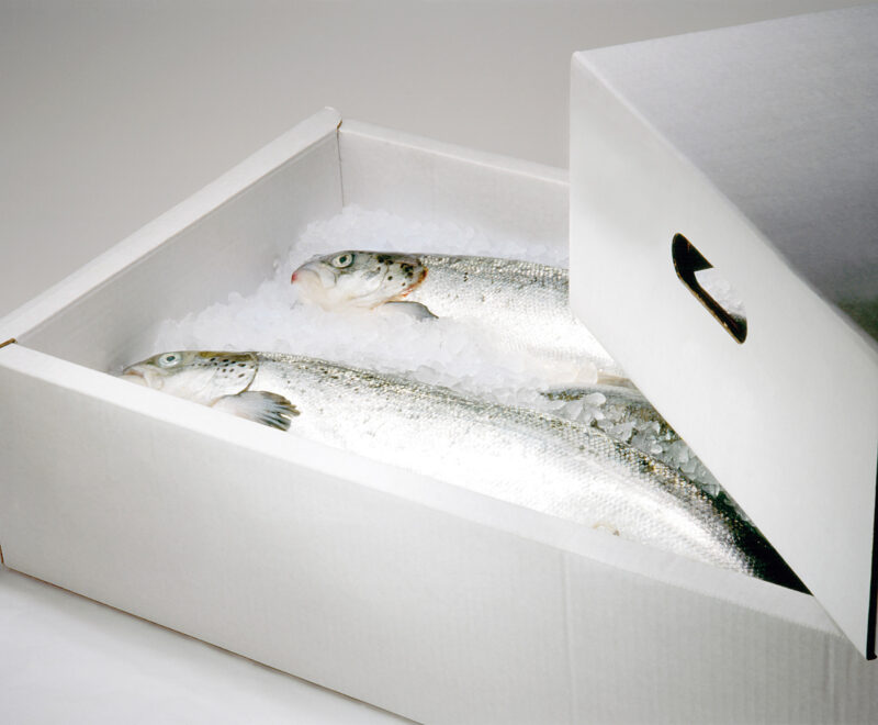 Walki Line Ultra / Thermoplex