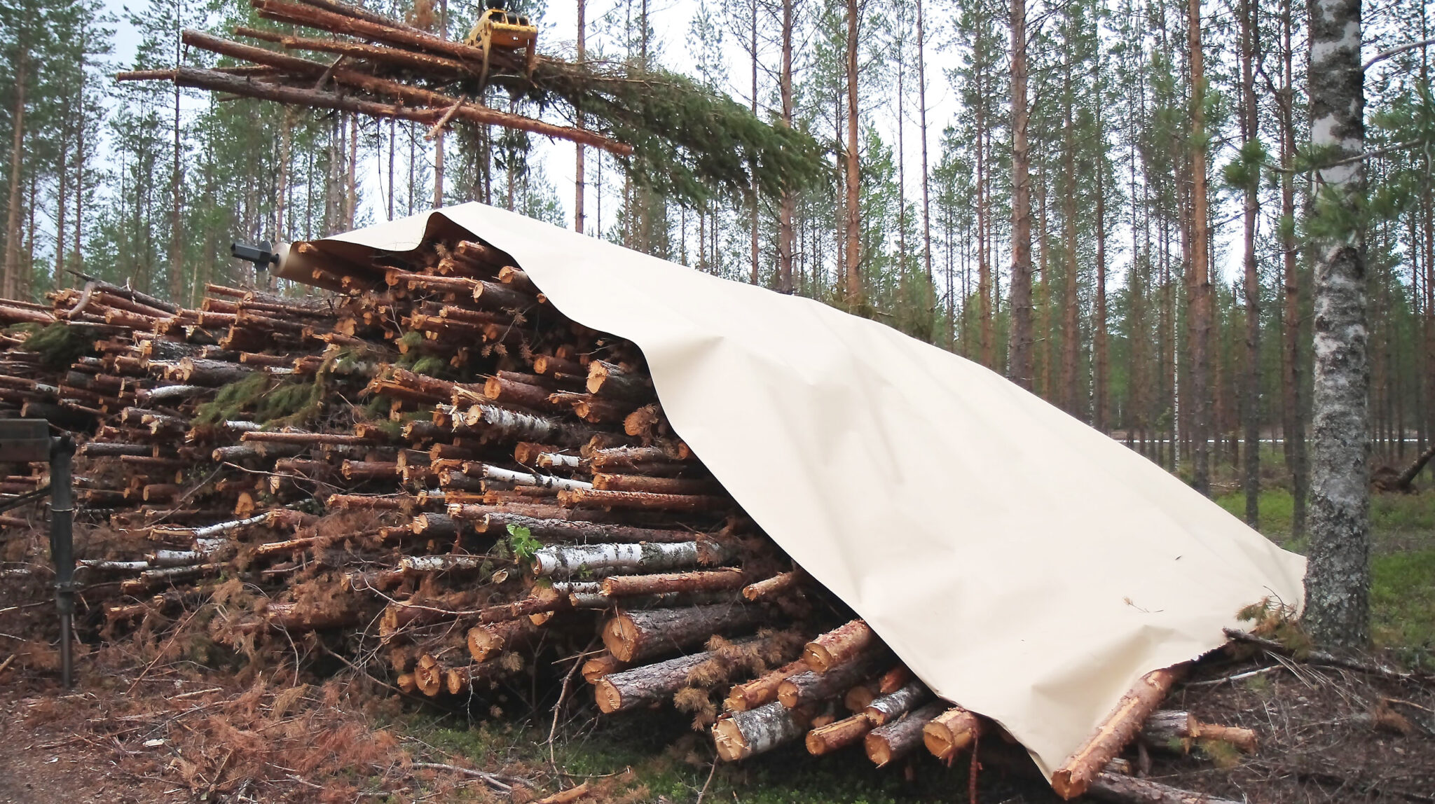 Walki Biomass Cover